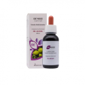 NOCE 60ML