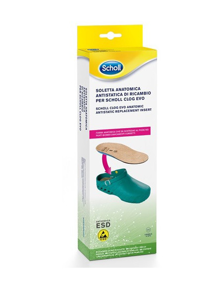 CLOG EVO ANAT ANT INS MIC36-37