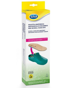 CLOG EVO ANAT ANT INS MIC39-40