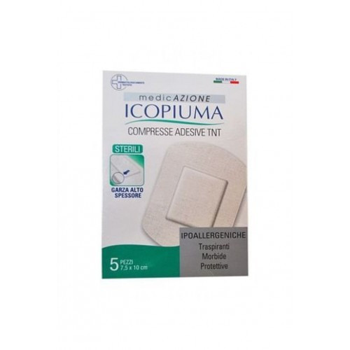 COMPRESENT ADES TNT 10X12CM 5PZ
