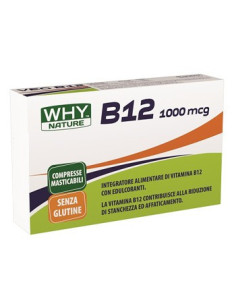 WHYNATURE B12 1000MCG 80CPR