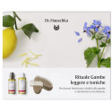 DR HAUSCHKA RITUAL GAMBE LEG