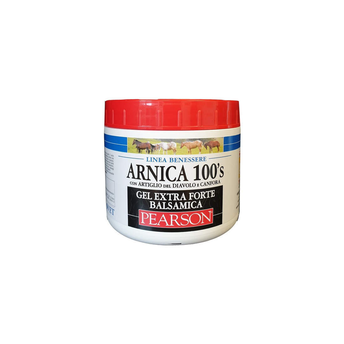 ARNICA 100'S GEL EX FT BALS500