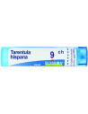 TARENTULA HISPANA 9CH GR