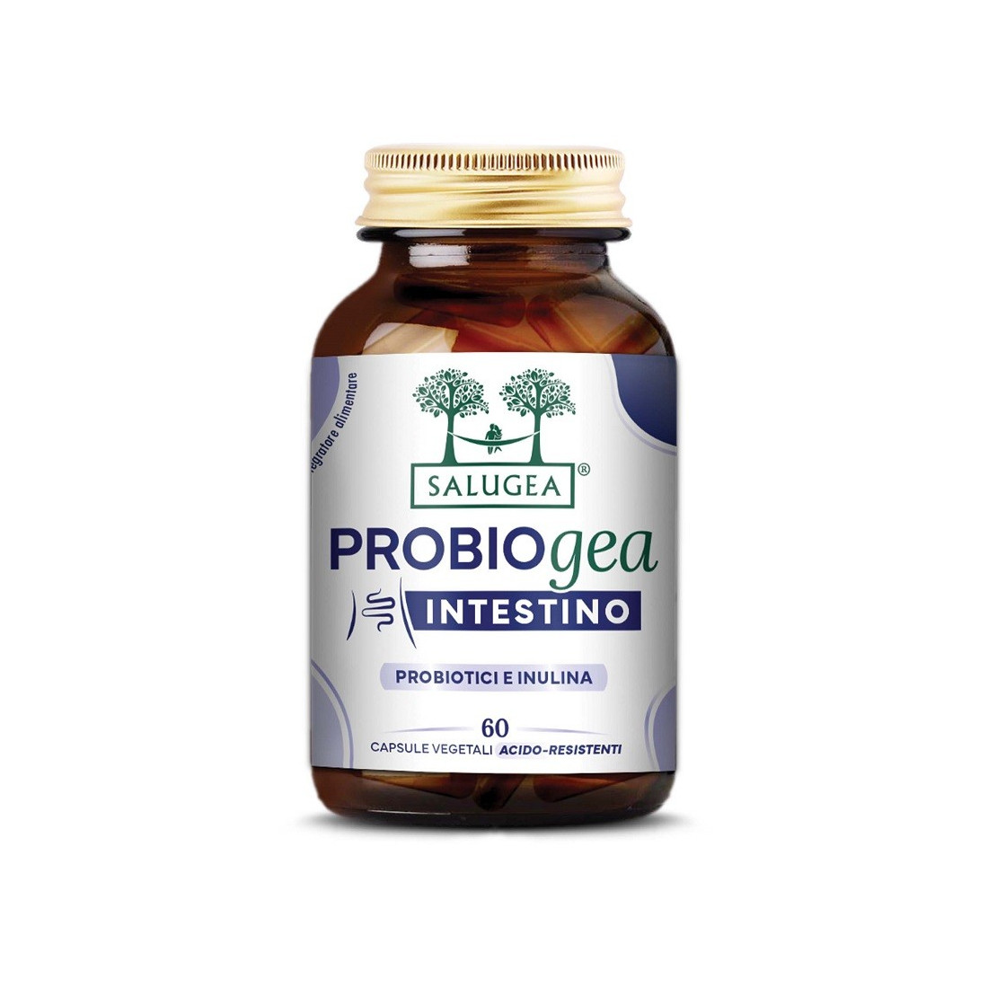 INTESTINE PROBIOG SALUGEA