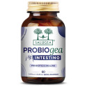 INTESTINE PROBIOG SALUGEA