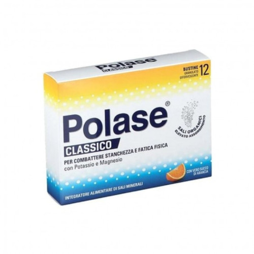 POLASE AREA 12BUST PROMO 24