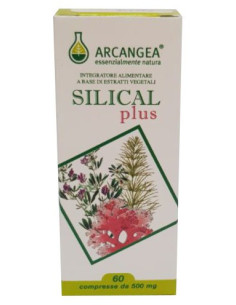 SILICAL PLUS 60CPR