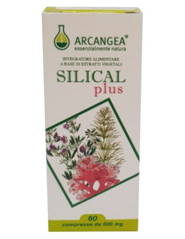 SILICAL PLUS 60CPR