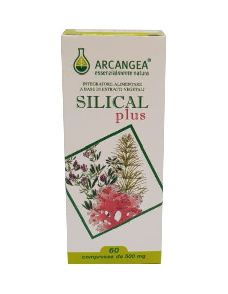 SILICAL PLUS 60CPR