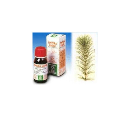 EQUISETO 12 50ML TM