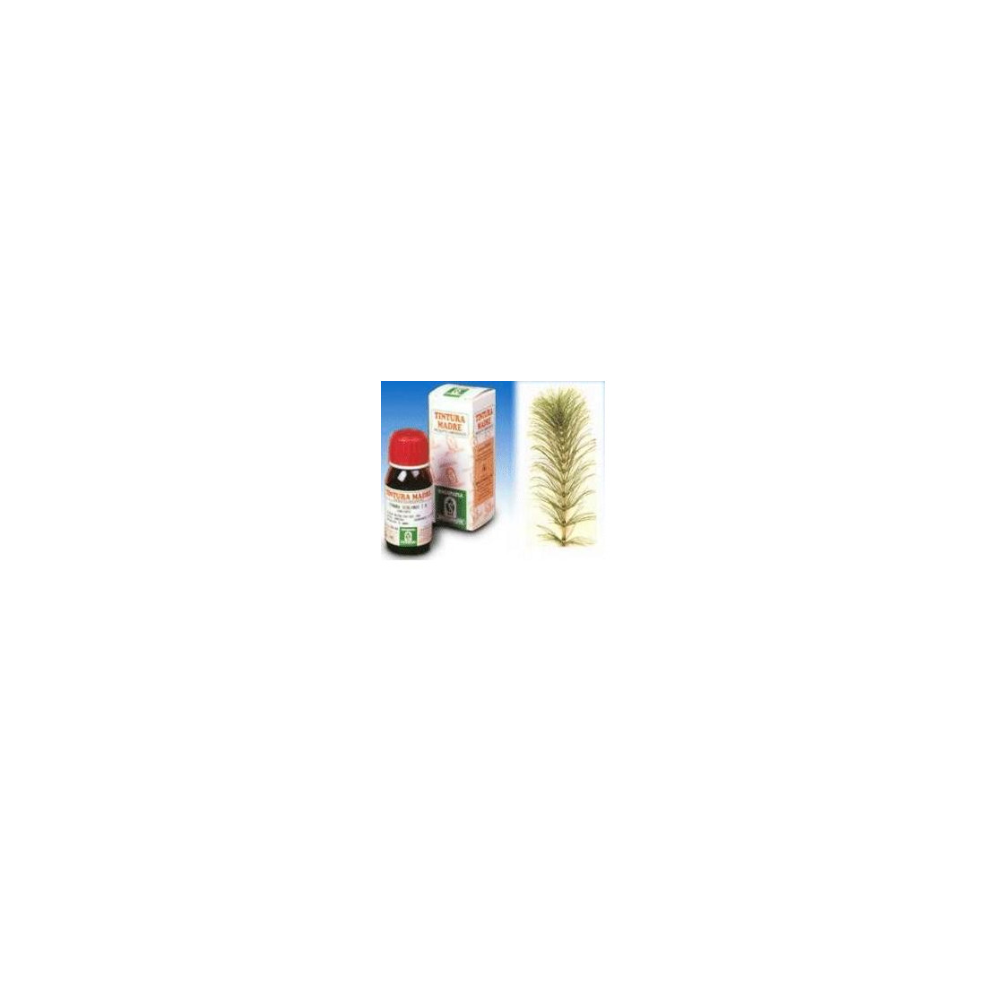 EQUISE 12 50ML TM