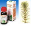 EQUISE 12 50ML TM