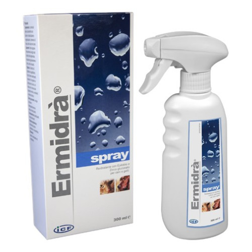 ERMIDRA SPRAY 300ML