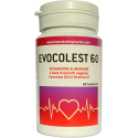 EVOCOLEST 60CPR