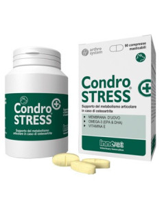 CONDROSTRESS + 90CPR MASTIC