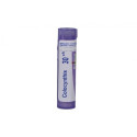 COLOCYNTHIS 30CH GR