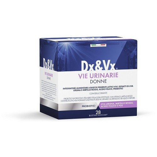 DX&VX DONNE28BUST