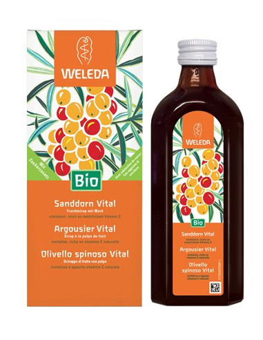 OLIVELLO SPINOSO VITAL SCIR