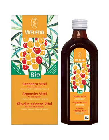 OLIVELLO SPINOSO VITAL SUCCO