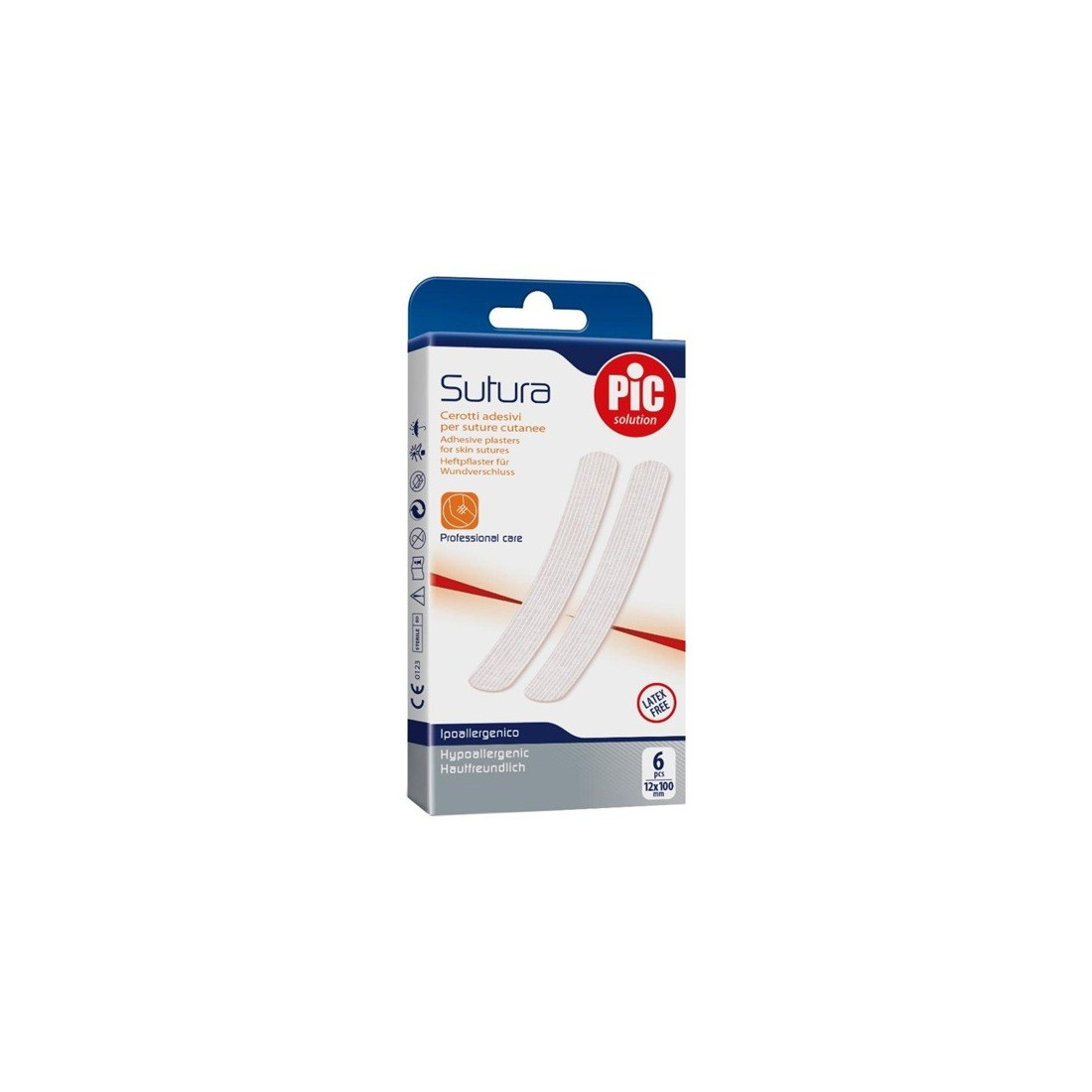 C PIC SOUTH 12X100MM 6PZ