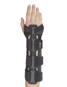 POLSIERA STECCATA AMBID DL27 S