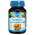 Naturmil Boswellia + Curcum90CPR