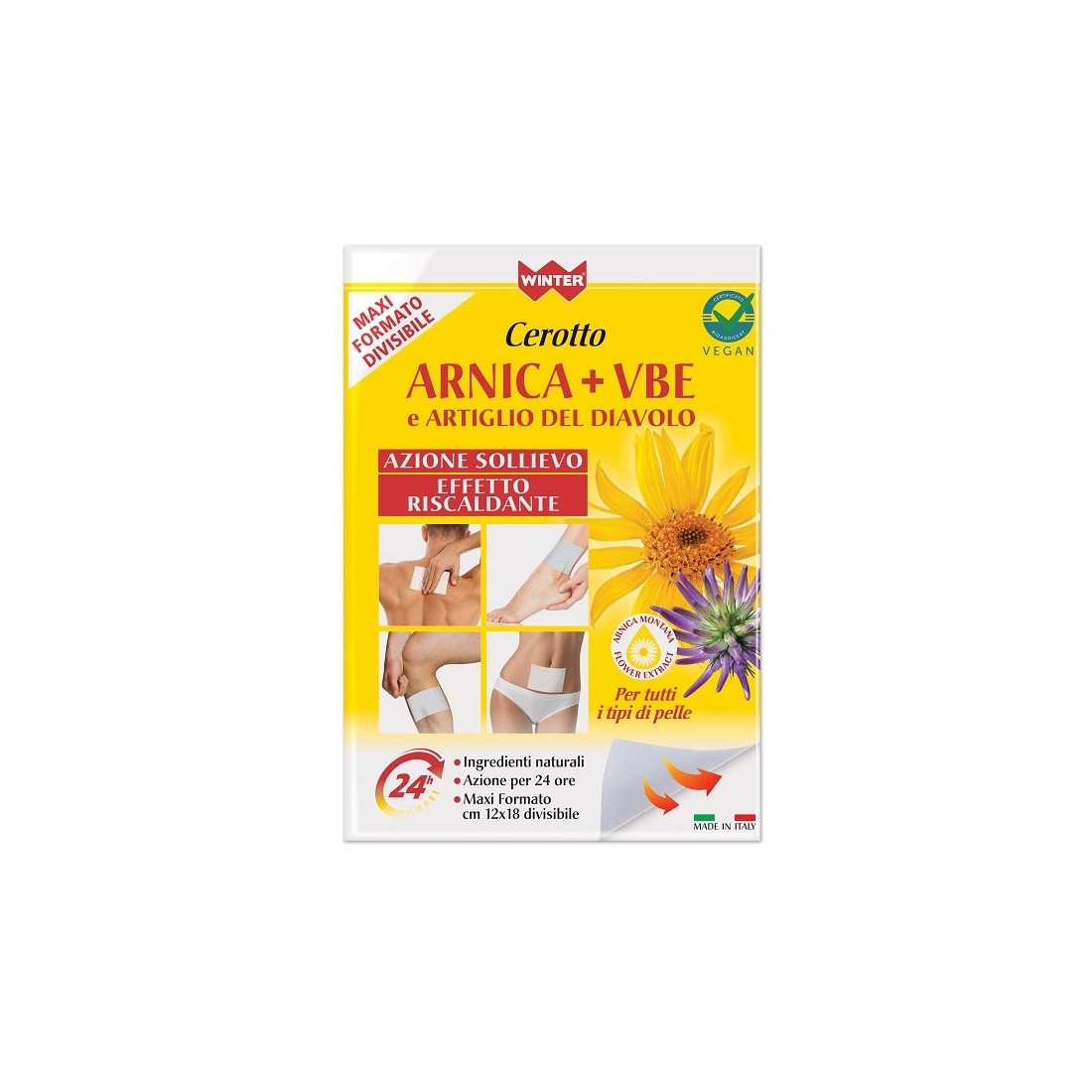 Winter Arnica Patch + Vbe Art