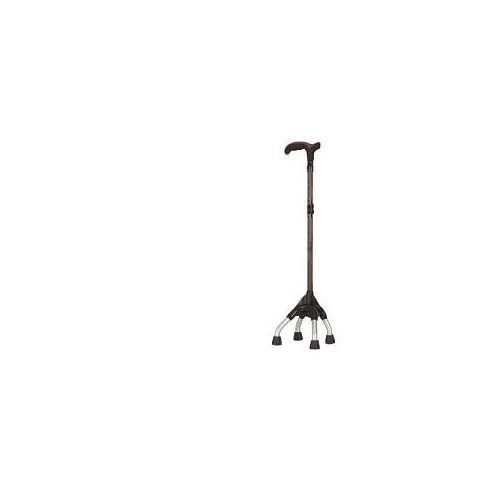 Stable walking stick