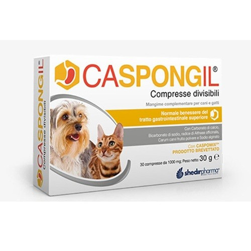 CASPONGIL 30CPR DIVISIBILI