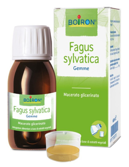 FAGUS SYLVATICA BOI MG60ML INT