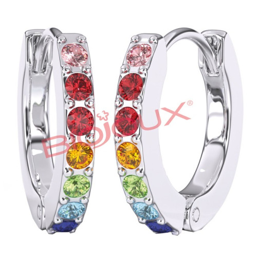 BJT725 Crystal Earrings Ho SS
