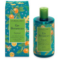 GIN BOTANICALS BAGNOGEL 300ML