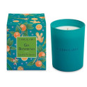 GIN BOTANICALS CANDELA PROF ED