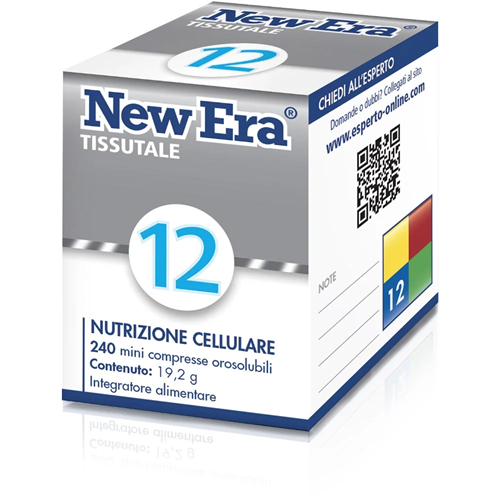 NEW ERA 12 240GR