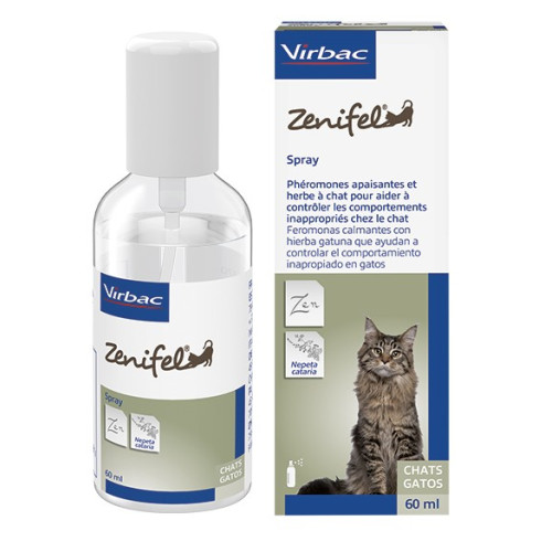 ZENIFEL SPRAY 60ML