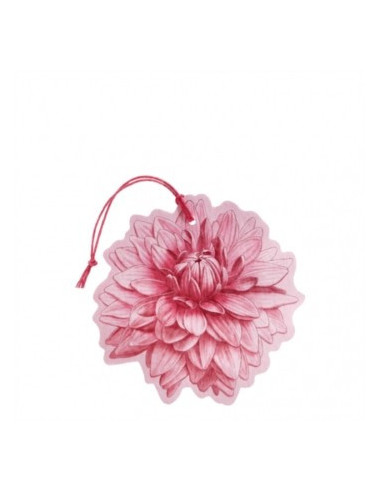 SFUMATURE D FIORE PROFUMATO1PZ