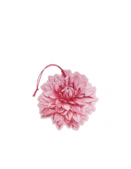 SFUMATURE D FIORE PROFUMATO1PZ