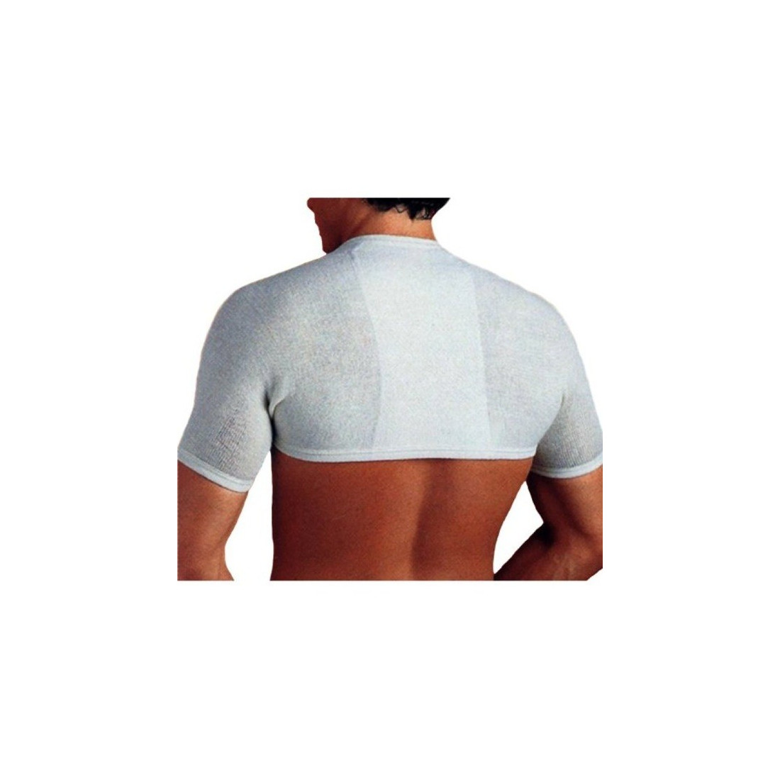 GIBAUD ANATOMICAL BODY 6
