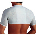 GIBAUD ANATOMICAL BODY 6