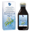 SAMBUCUS NIGRA 500ML