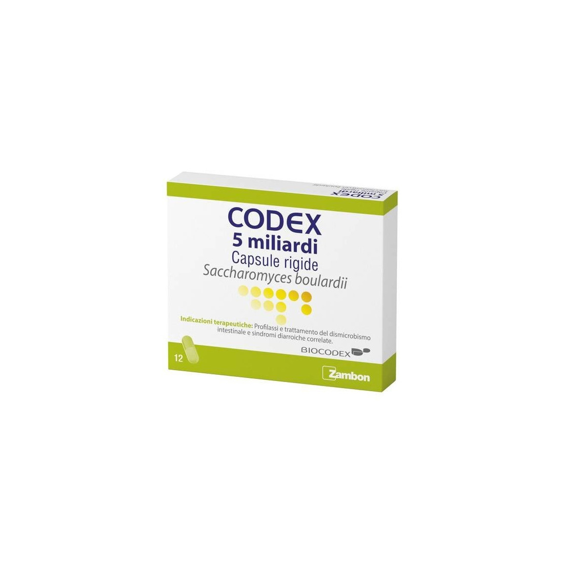 CODEX 12CPS 5MLD 250MG