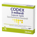 CODEX 12CPS 5MLD 250MG