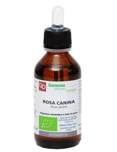ROSA CANINA MG BIO 100ML