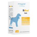 DIMOOD LARGE 20STICK 12G