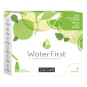 WATERFIRST MELON LIME MEL12STK