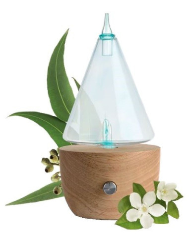 PURESSENTIEL DIFFUSORE ICONIC