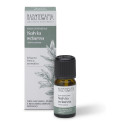 NASOTERAPIA OE SALVIA SCLAREA
