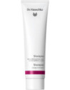 DR HAUSCHKA SHAMPOO IT/NL150ML