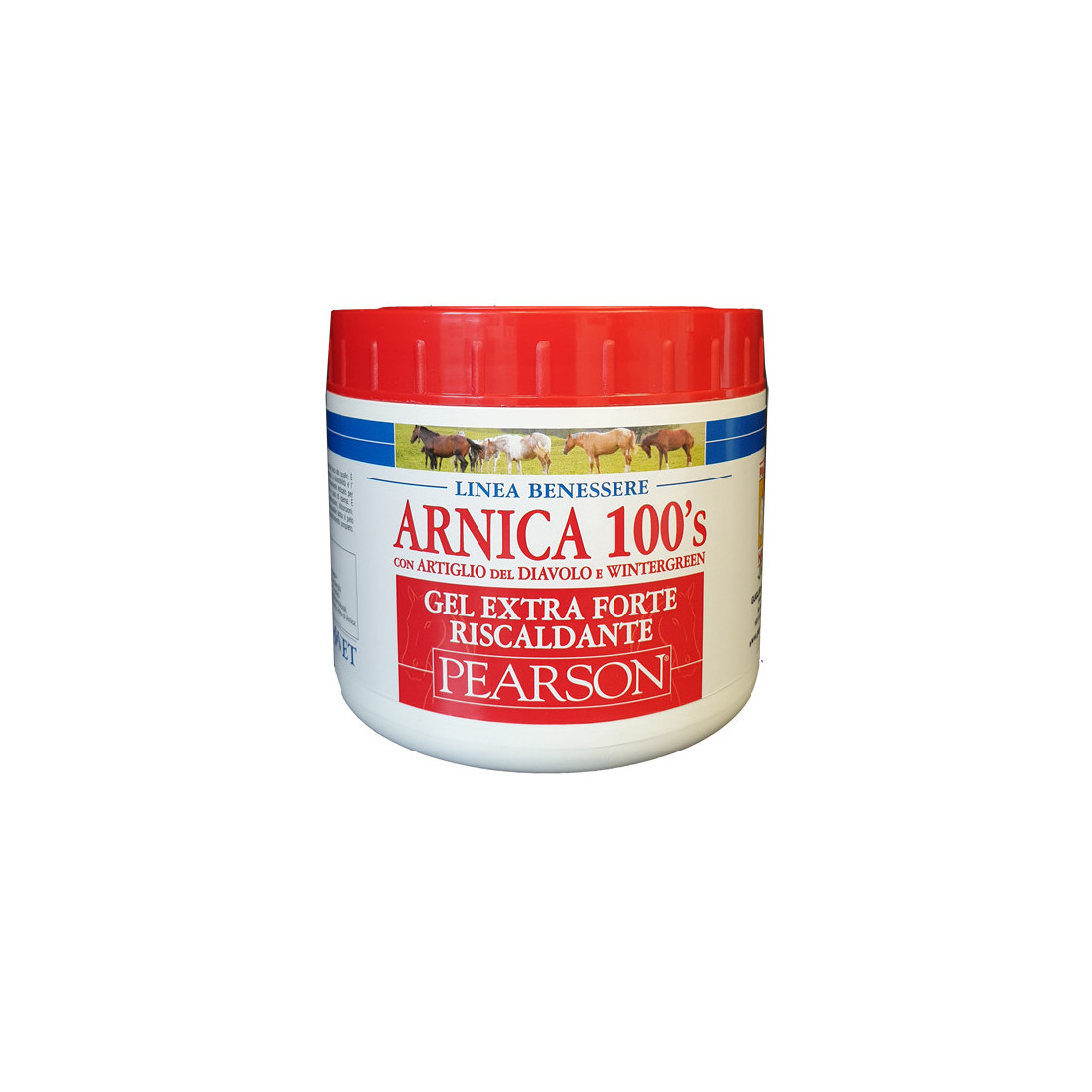 ARNICA 100'S GEL EX FT RISC500